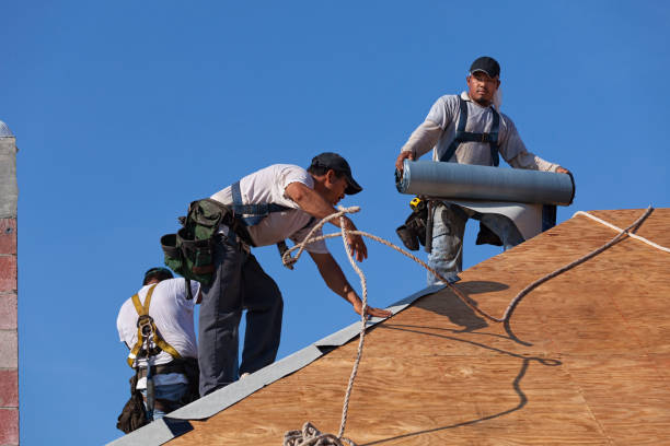 Roof Gutter Cleaning in Deland Southwest, FL